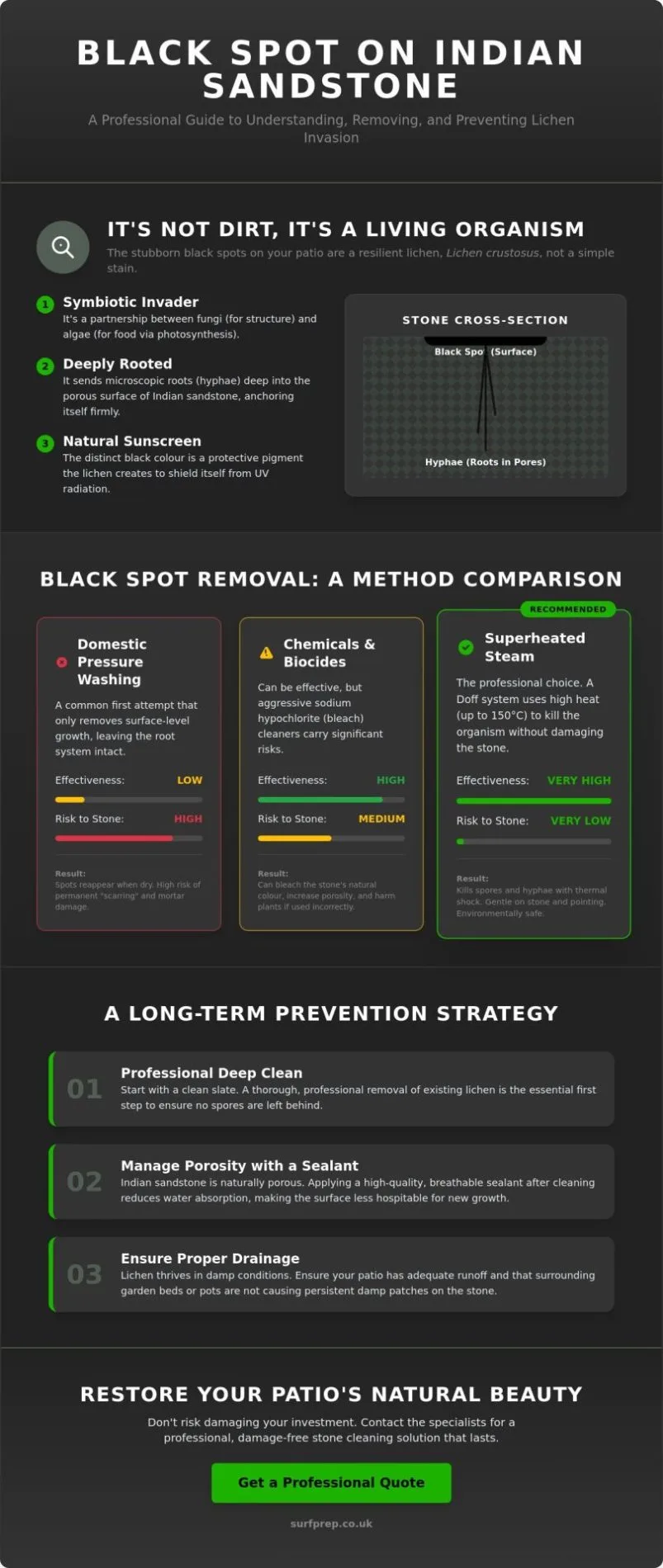 Black Spot Removal from Indian Sandstone: A Professional Guide to Restoration